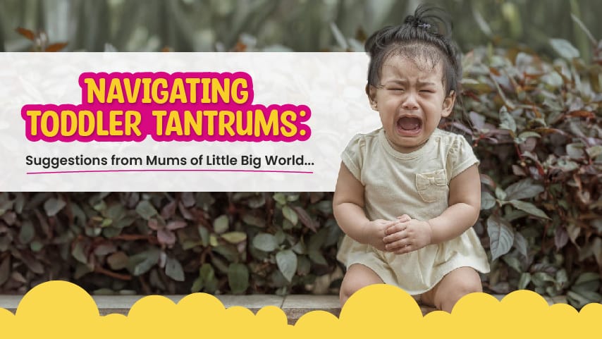 Navigating Toddler Tantrums: 7 Suggestions from Mums of Little Big World